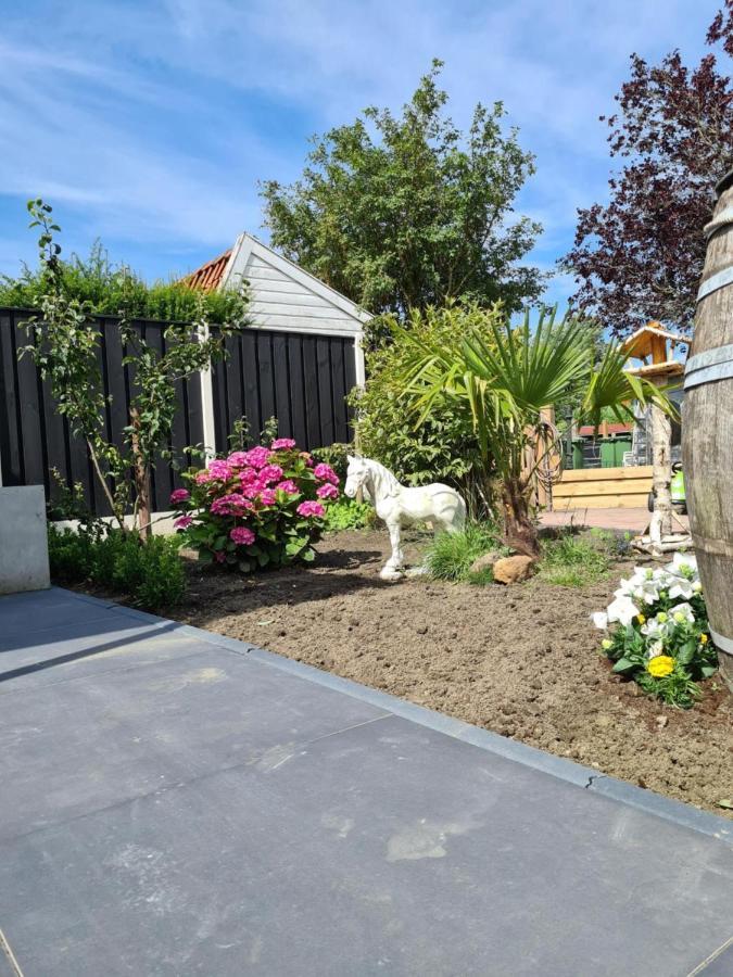 Tip Top Studio Vlissingen Luaran gambar
